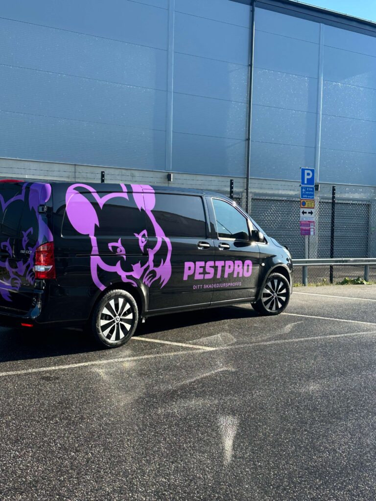 Pestpro dekor